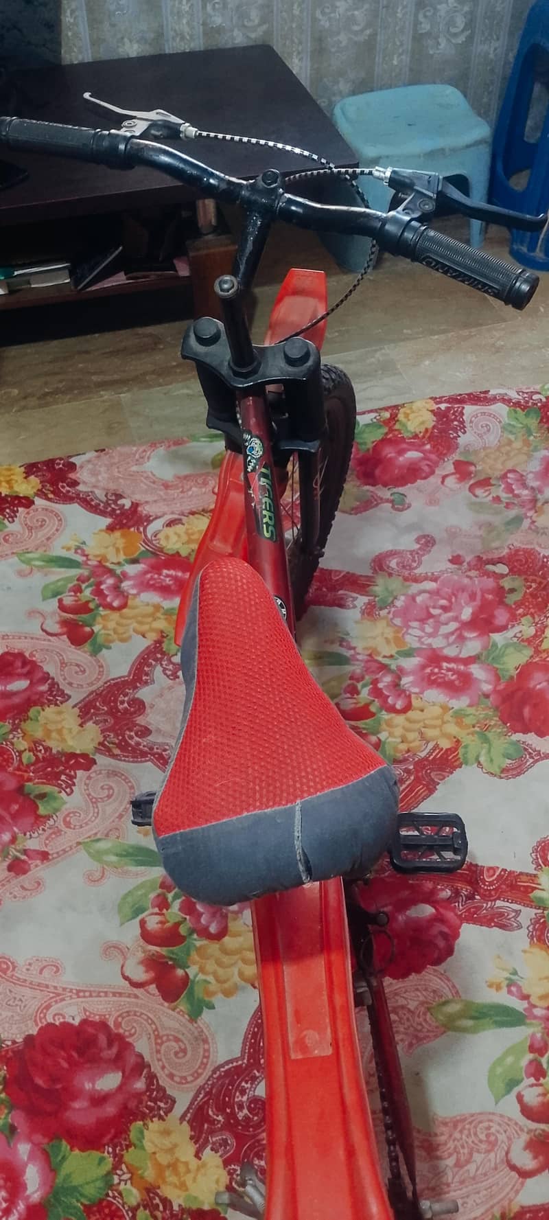 Kid cycle 6