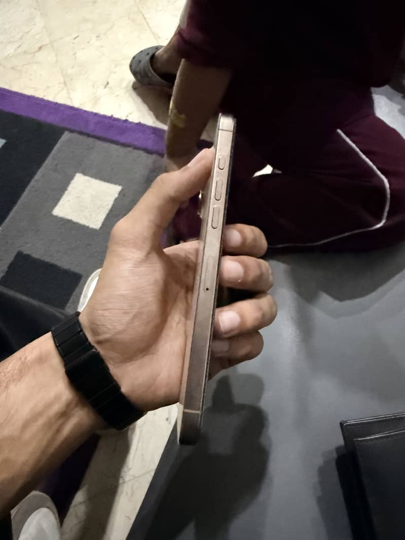 Apple iPhone 16 Pro Max 3