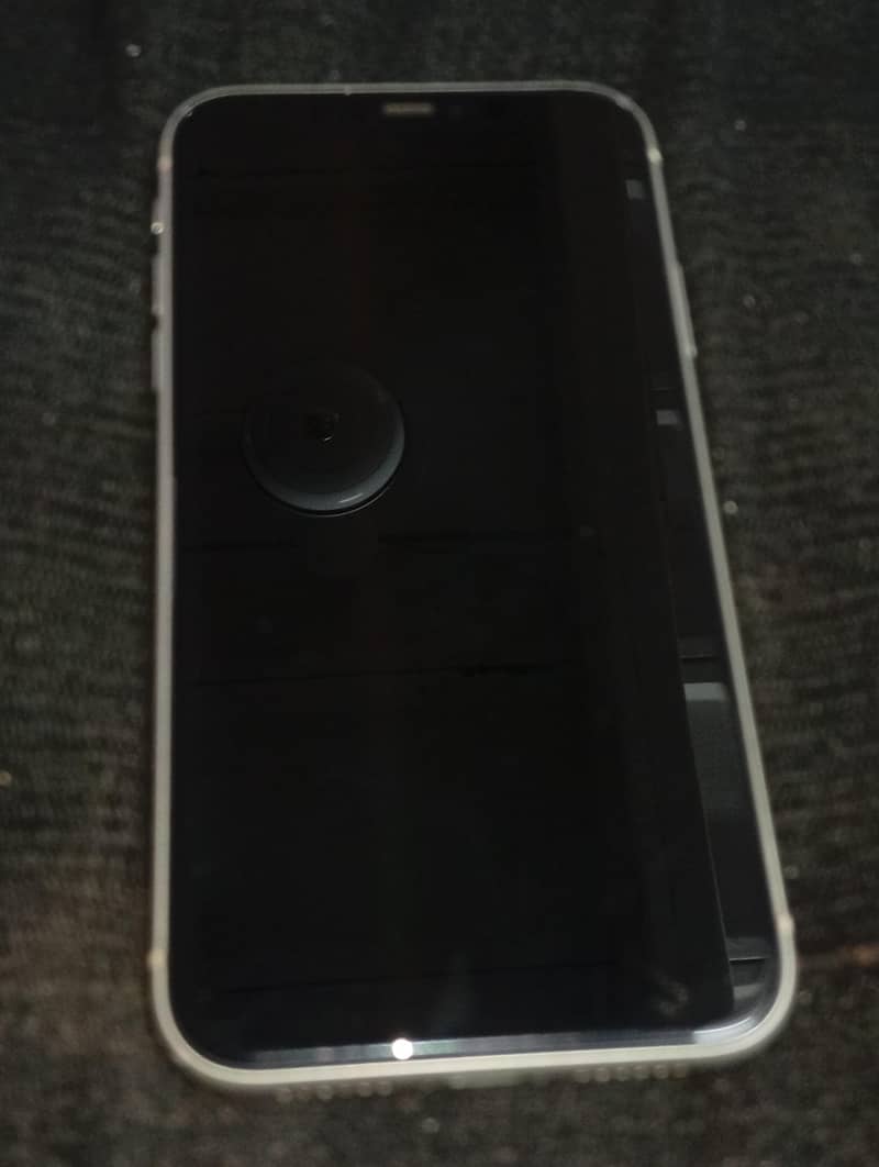 Apple iPhone 11 0