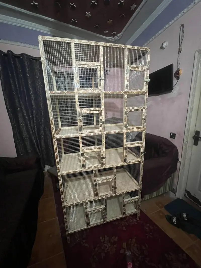 Brand new pinjra cage 10 portions with heavy jaali — photo 2