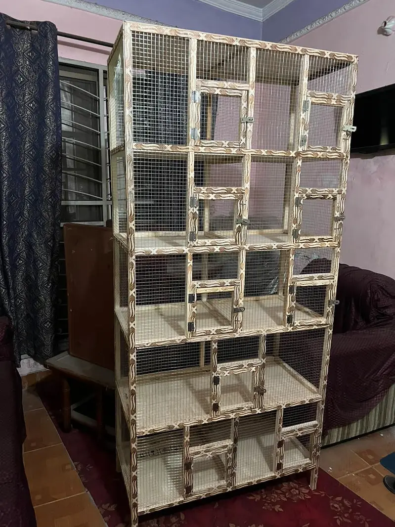 Brand new pinjra cage 10 portions with heavy jaali — photo 3