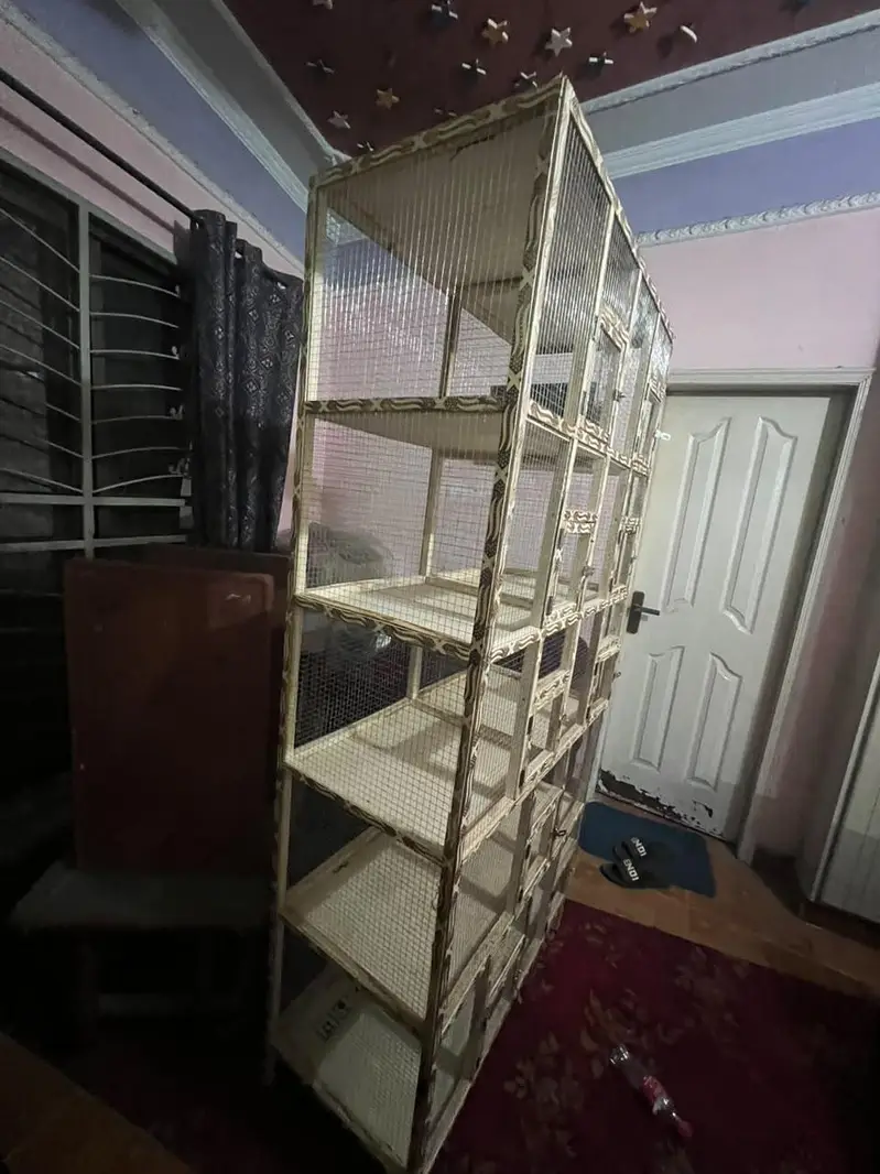 Brand new pinjra cage 10 portions with heavy jaali — photo 4