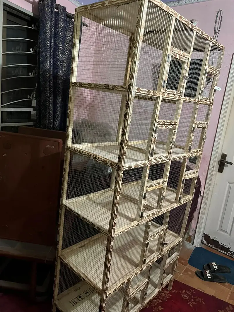 Brand new pinjra cage 10 portions with heavy jaali — photo 5