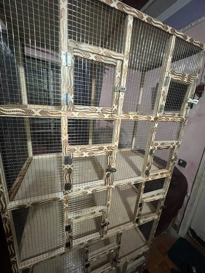Brand new pinjra cage 10 portions with heavy jaali — photo 6