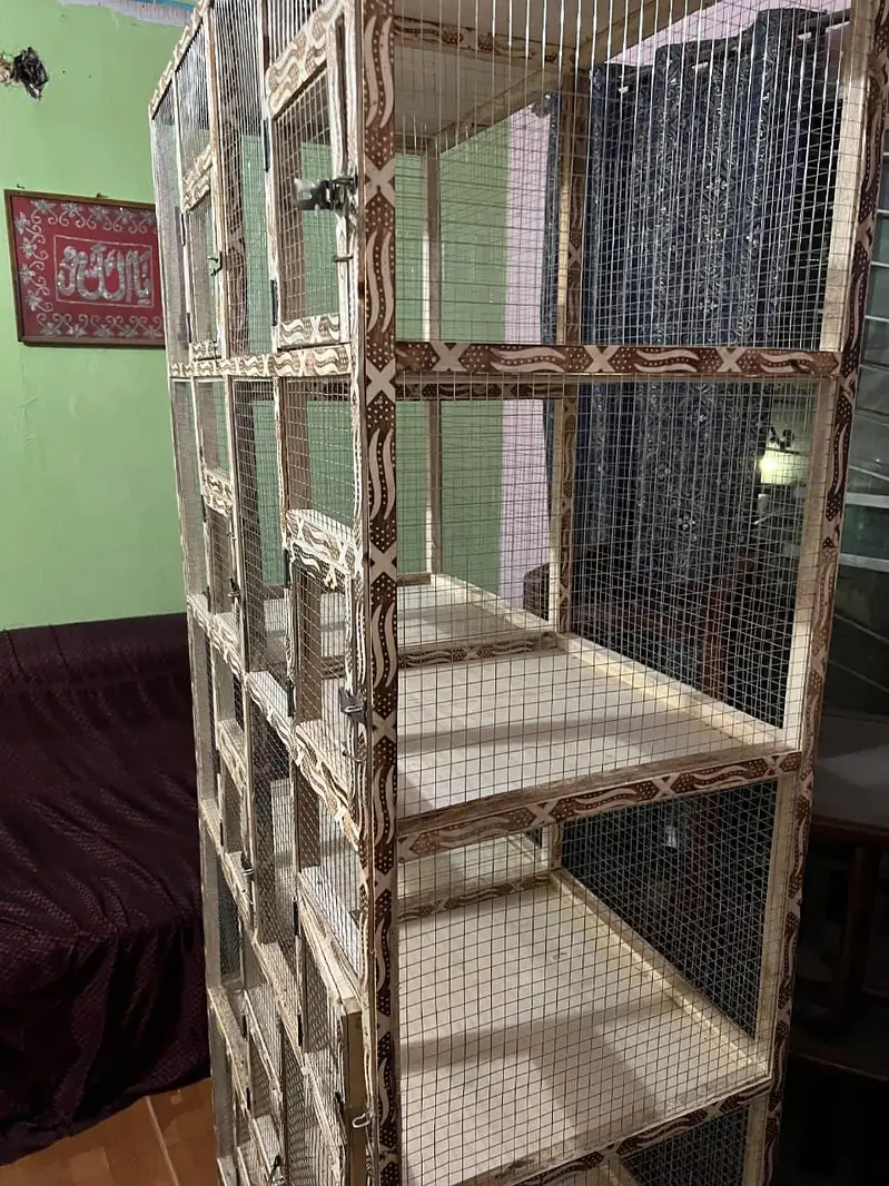 Brand new pinjra cage 10 portions with heavy jaali — photo 7