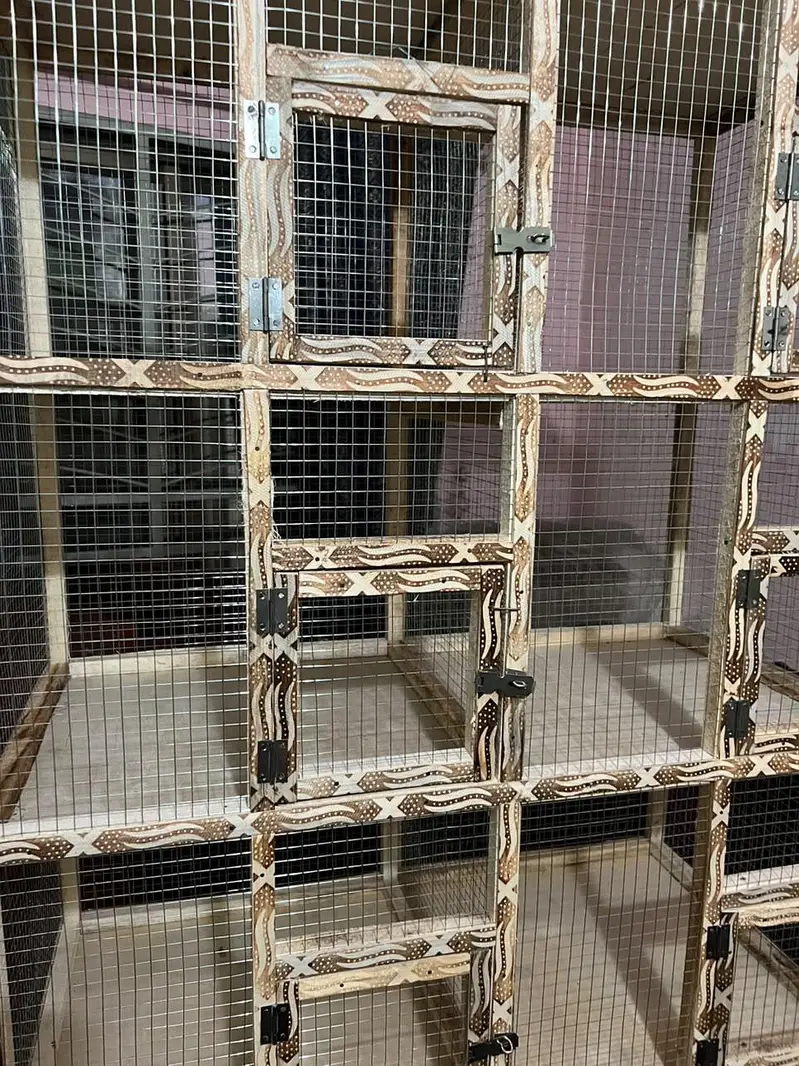 Brand new pinjra cage 10 portions with heavy jaali — photo 8
