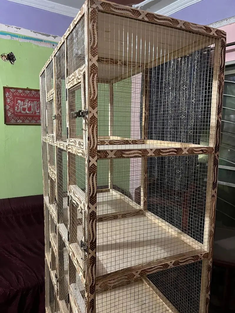 Brand new pinjra cage 10 portions with heavy jaali — photo 9