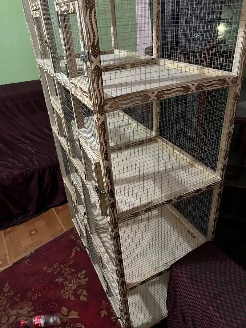 Brand new pinjra cage 10 portions with heavy jaali — photo 10