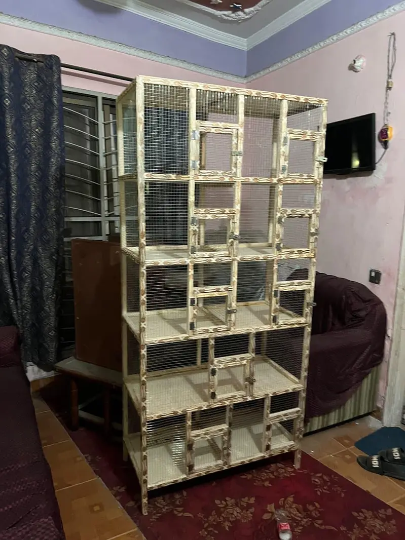 Brand new pinjra cage 10 portions with heavy jaali — photo 11