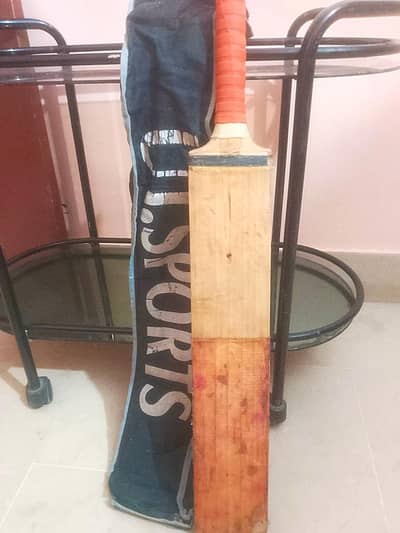 cricket bat