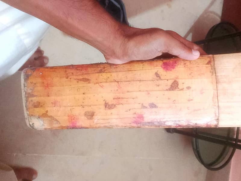 cricket bat 1