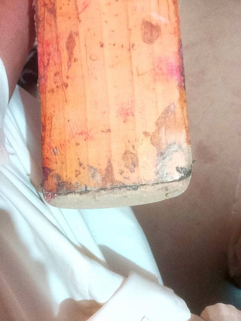 cricket bat 2