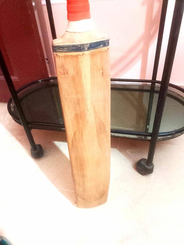 cricket bat 3