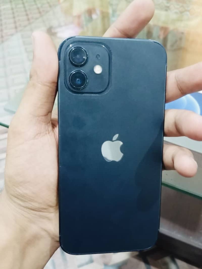Apple iPhone 12 1