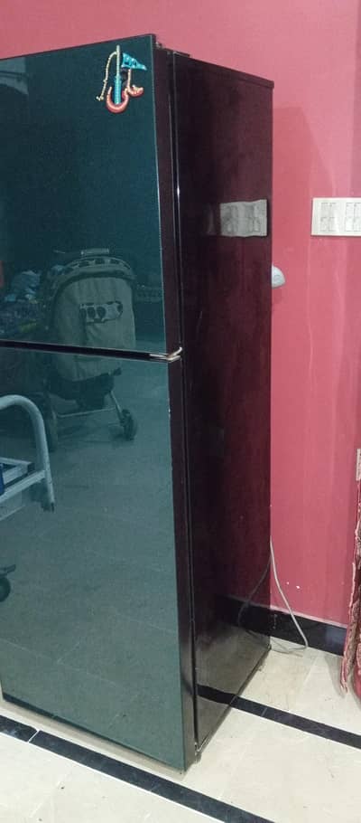 PEL Double Door Glass Door Fridge