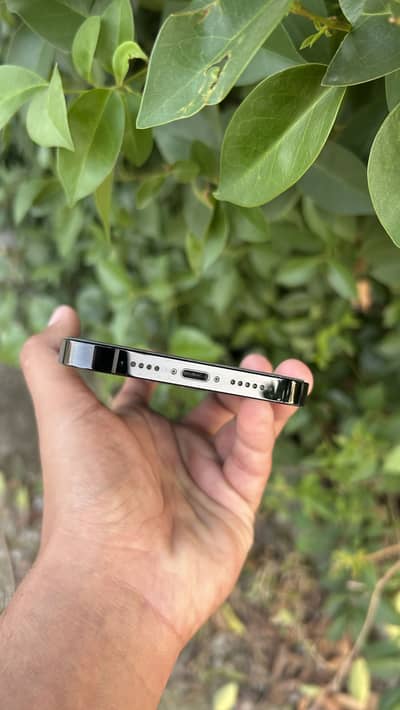Apple iPhone 14 Pro Max Chance