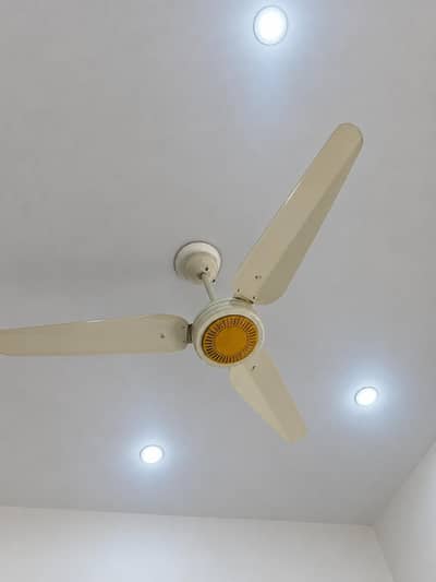 Ceiling FAN