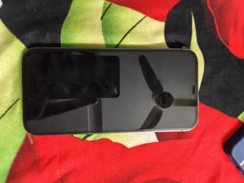 Apple iPhone 12 Pro Max 0
