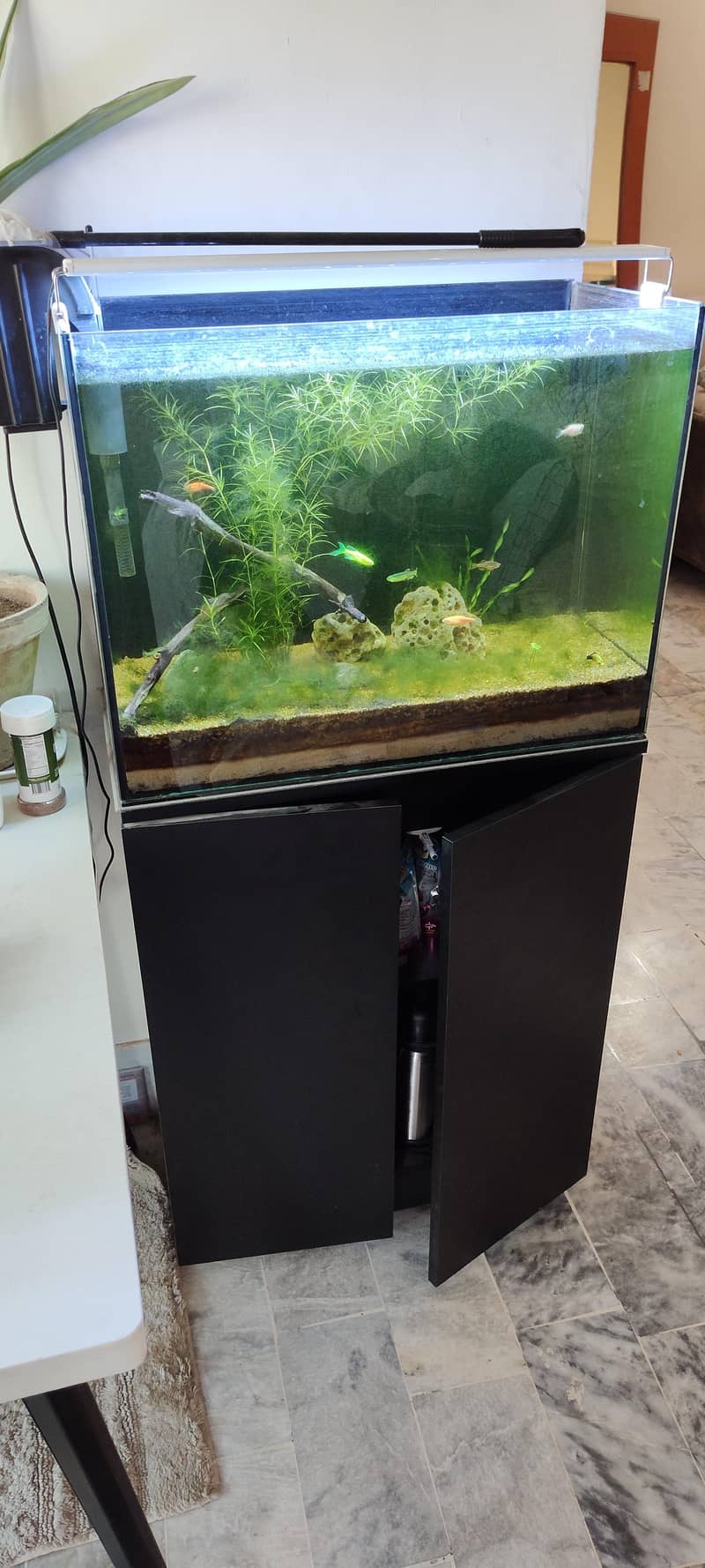 fish aquarium 2
