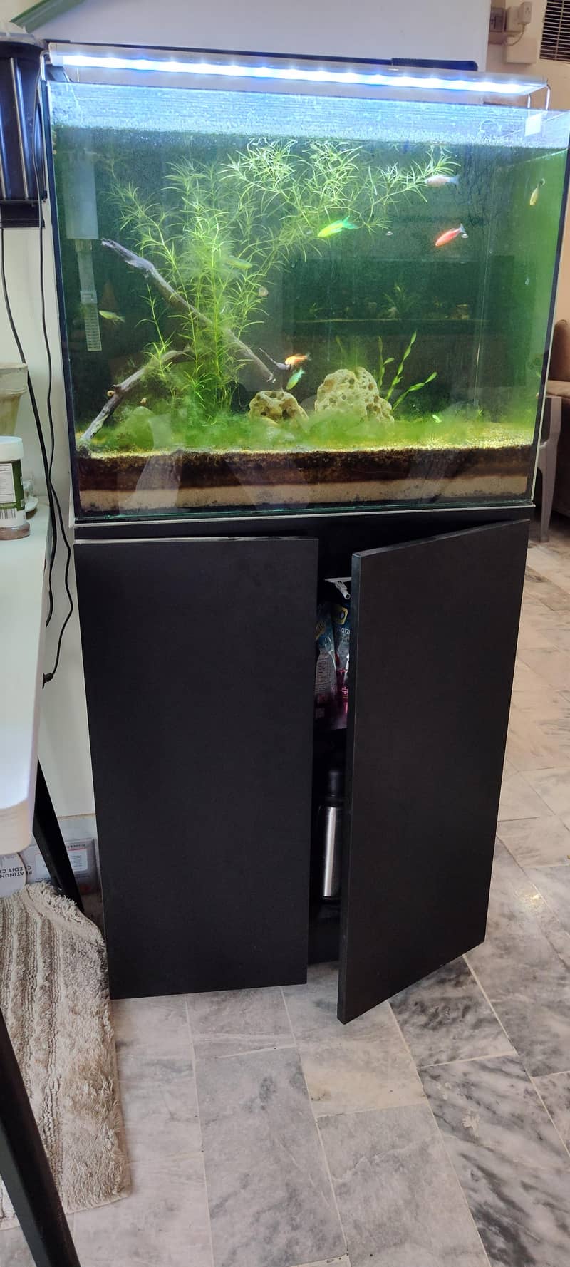 fish aquarium 3