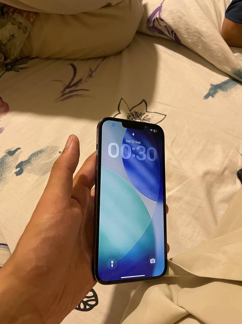 Apple iPhone 13 Pro Max 1