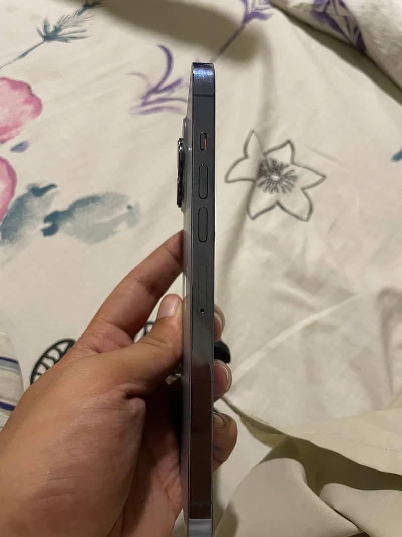 Apple iPhone 13 Pro Max 4