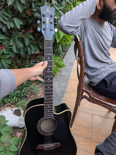 swift horse guitar for sale