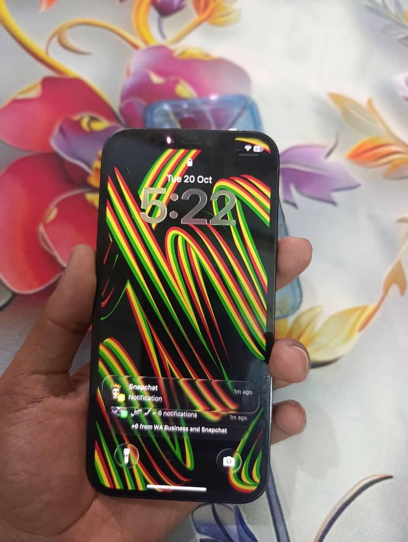 Apple iPhone 12 Pro 4