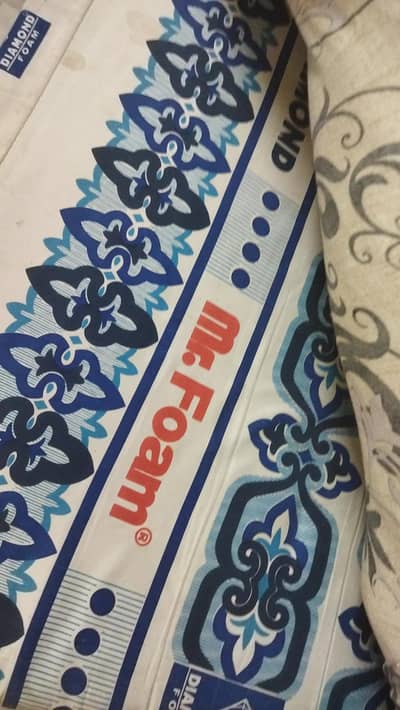 Molty Foam Mattress Single Bed