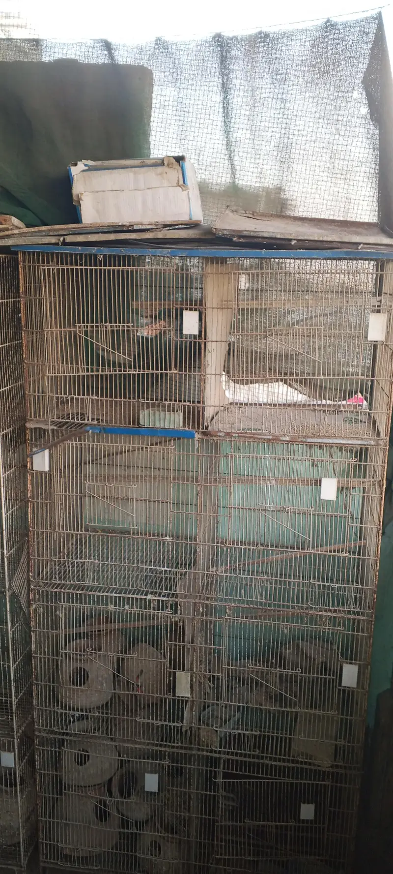 Strong Iron Bird Cage for Sale – 4 Floors, 10 Compartments — photo 3