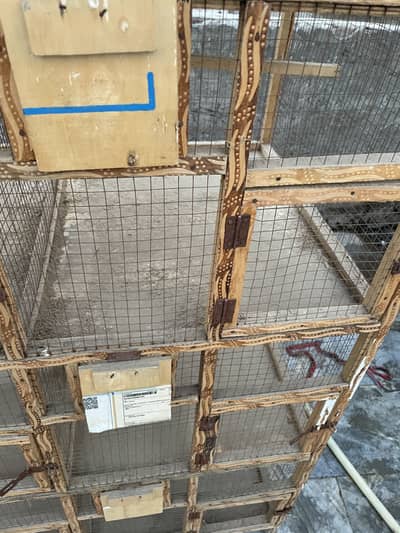 Breeding cage for sale