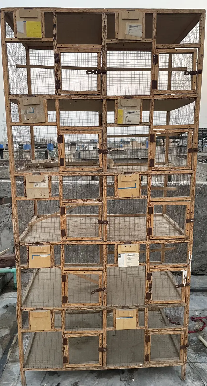 Breeding cage for sale — photo 3