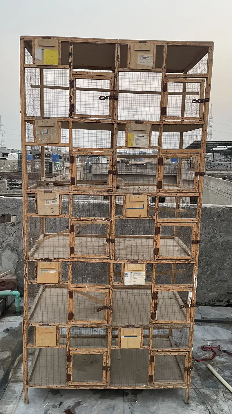 Breeding cage for sale — photo 4
