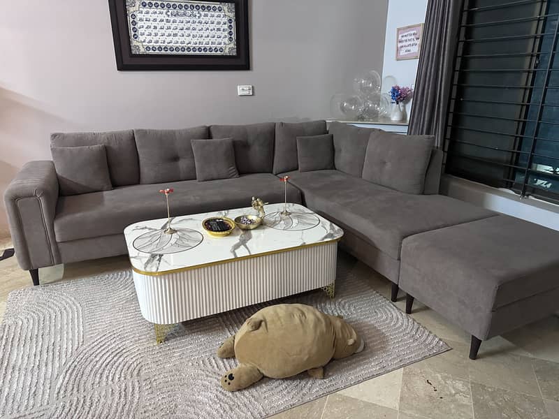 L shape sofa 1