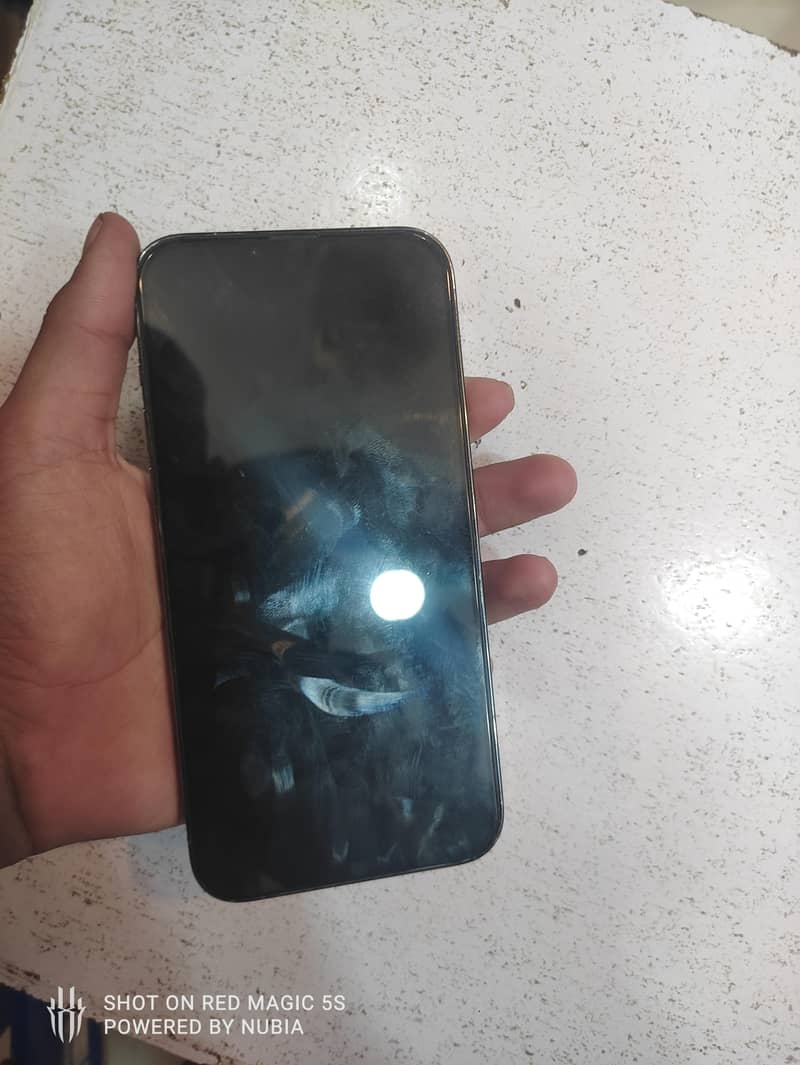 Apple iPhone 13 Pro Max 1