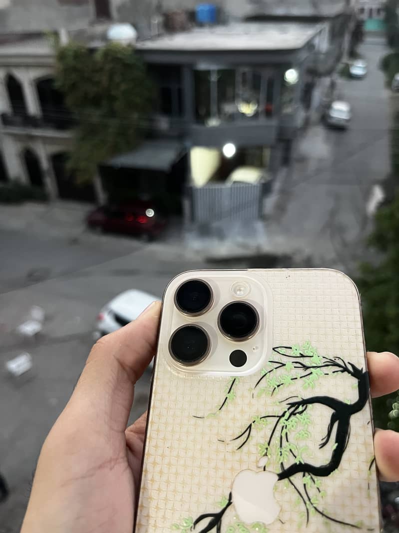 Apple iPhone 16 Pro Max 2