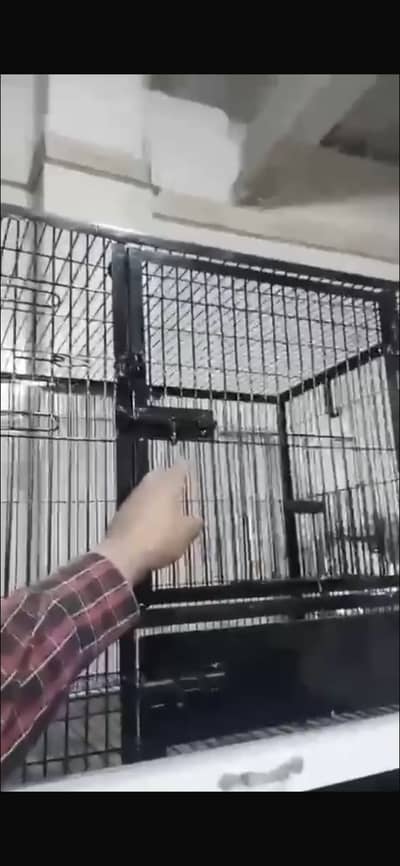 Cage for sale
