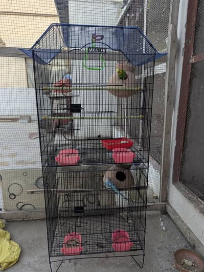 2 PORTION MASTER CAGE ONLY