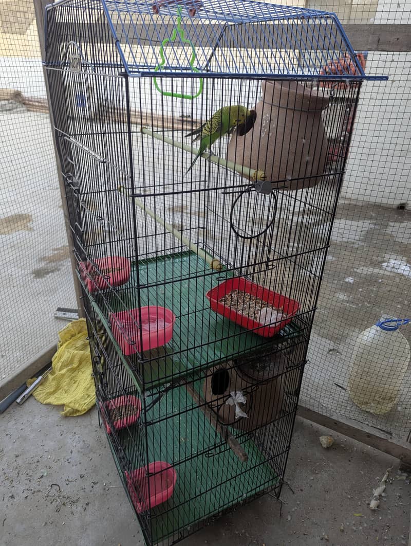 2 PORTION MASTER CAGE ONLY 2