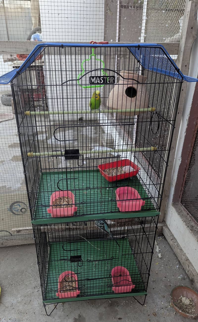 2 PORTION MASTER CAGE ONLY 3