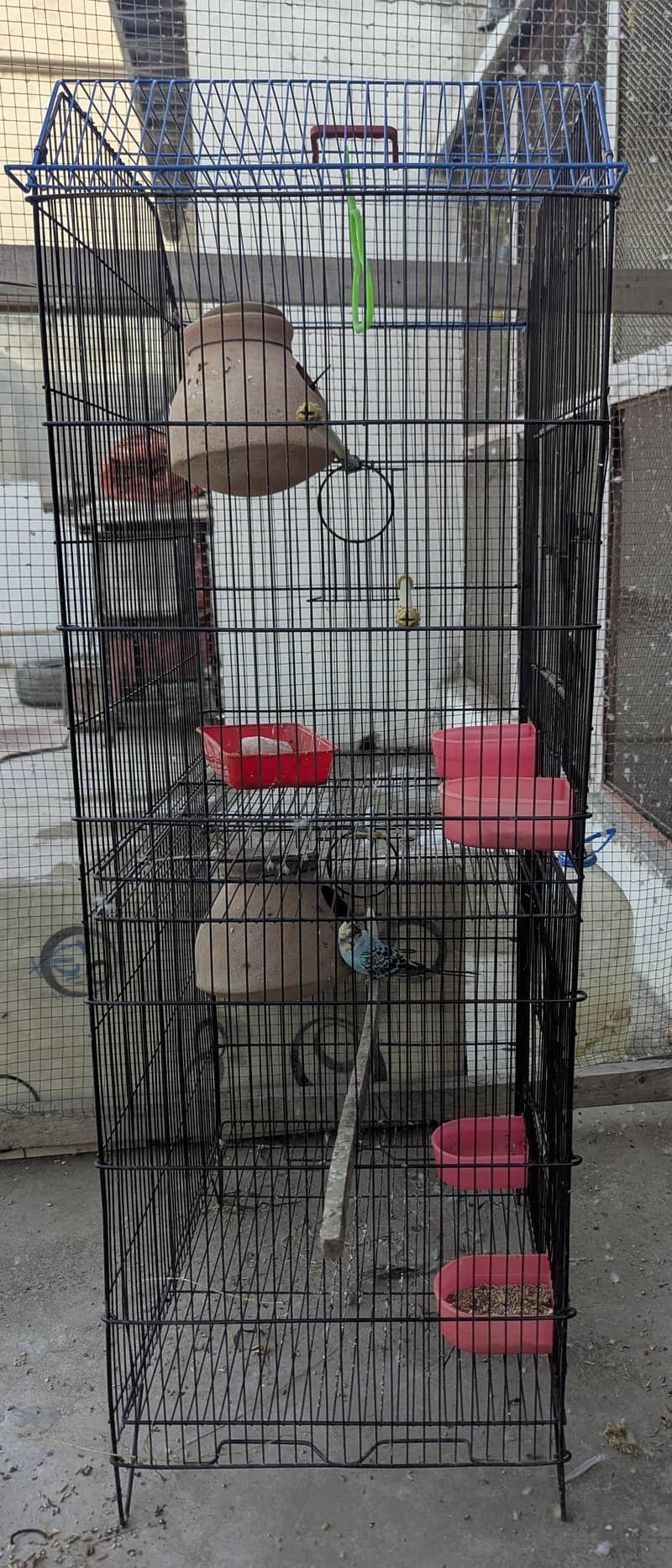 2 PORTION MASTER CAGE ONLY 6