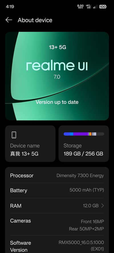 Realme 13 Plus 5G with Box and Charger