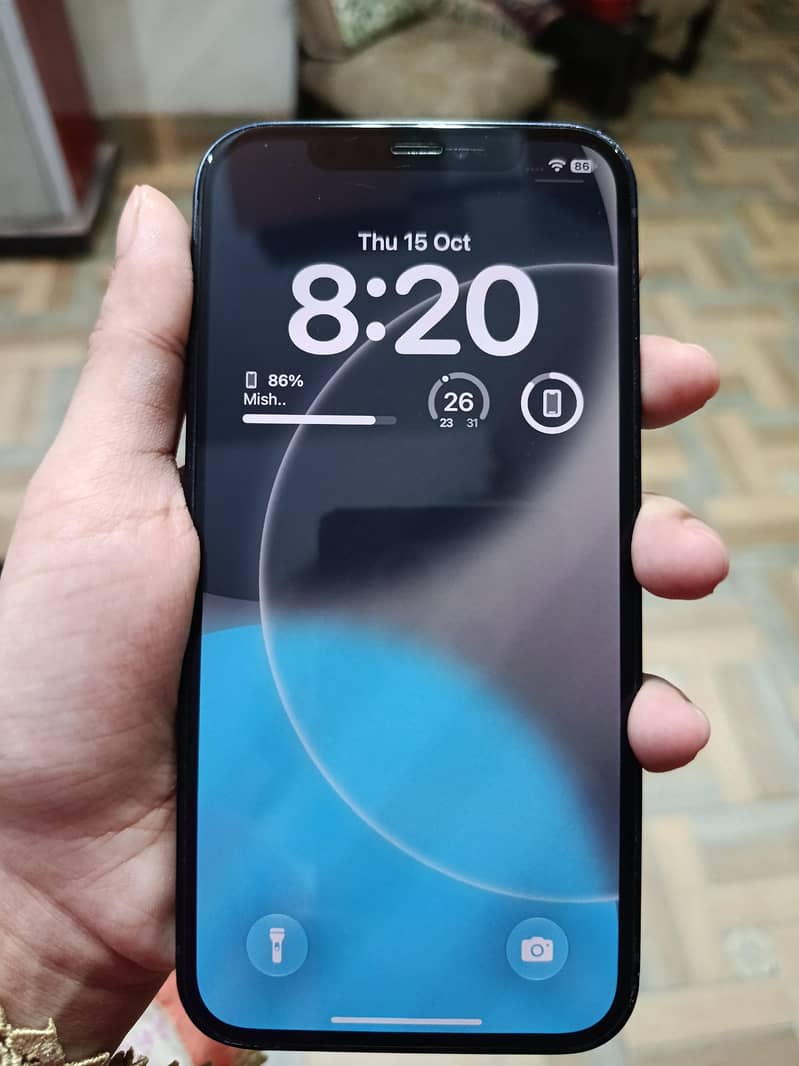 Apple iPhone 12 1