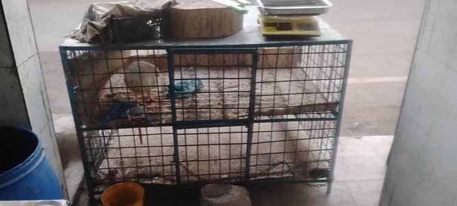 chicken shop cage chicken cage