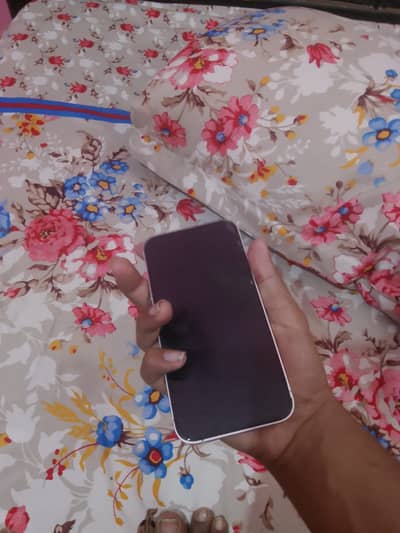Apple iPhone 13 bypasss