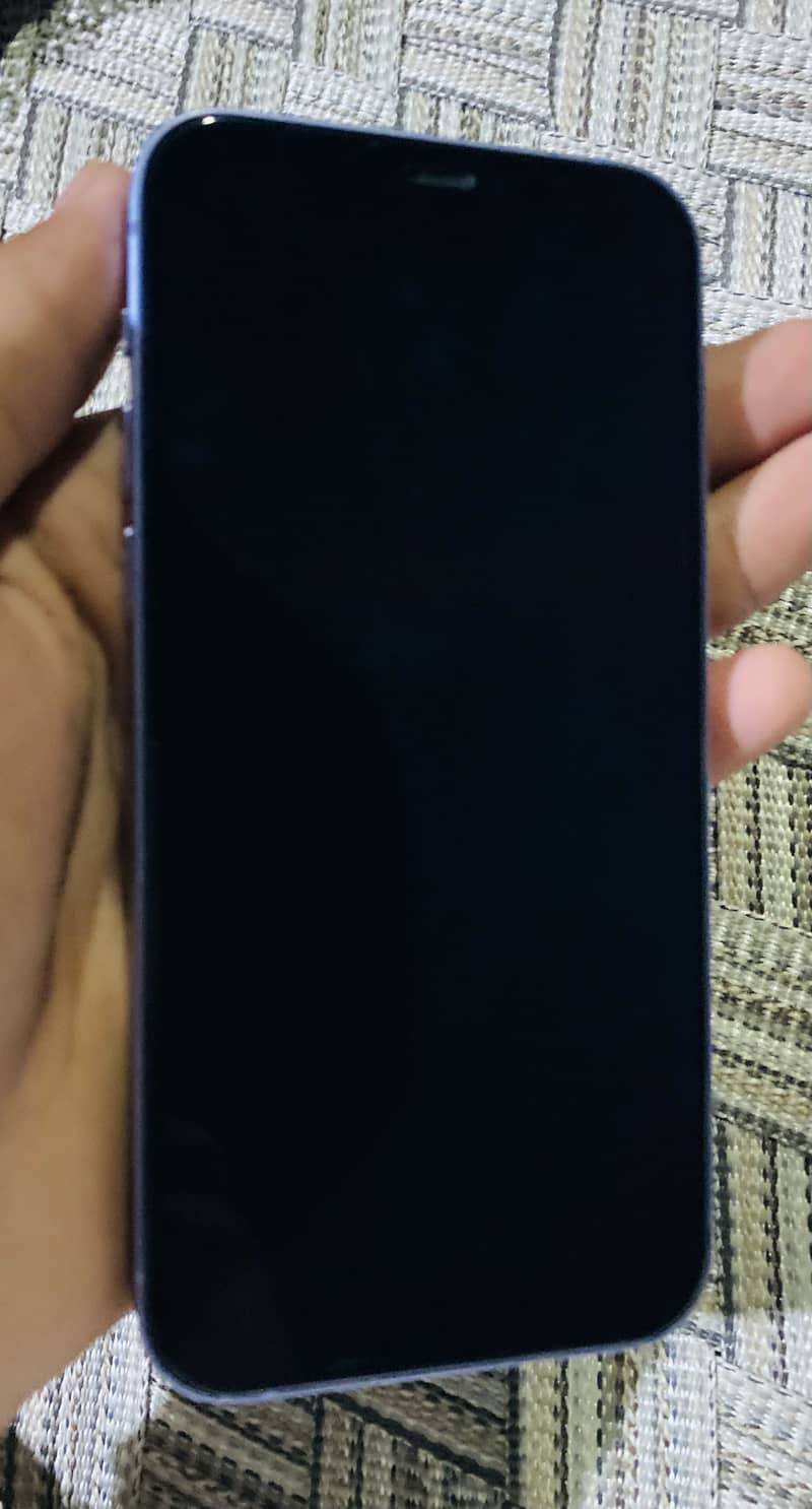 Apple iPhone 12 1