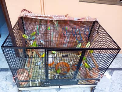 CAGE FOR ANIMALS