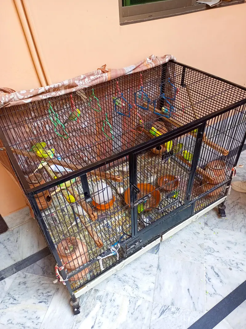 ALI CAGE — photo 2