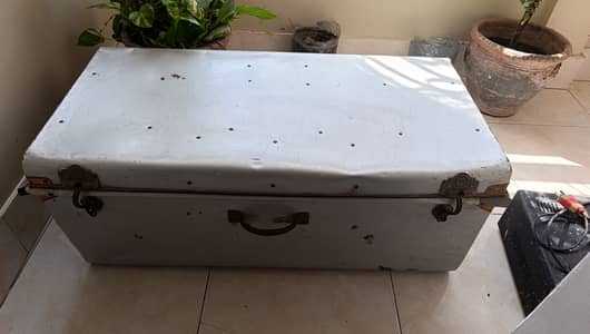 Trunk Peti