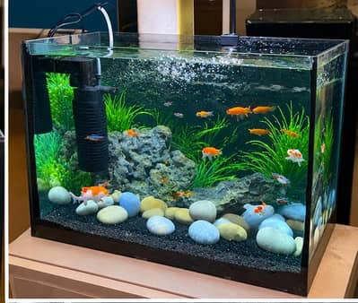 3D 08MM heavy glass aquarium